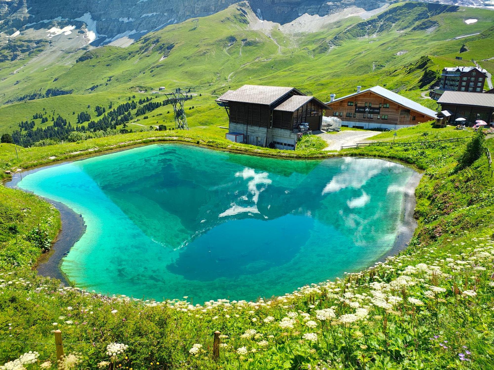 Chalet Schwendiboden Grindelwald Esterno foto