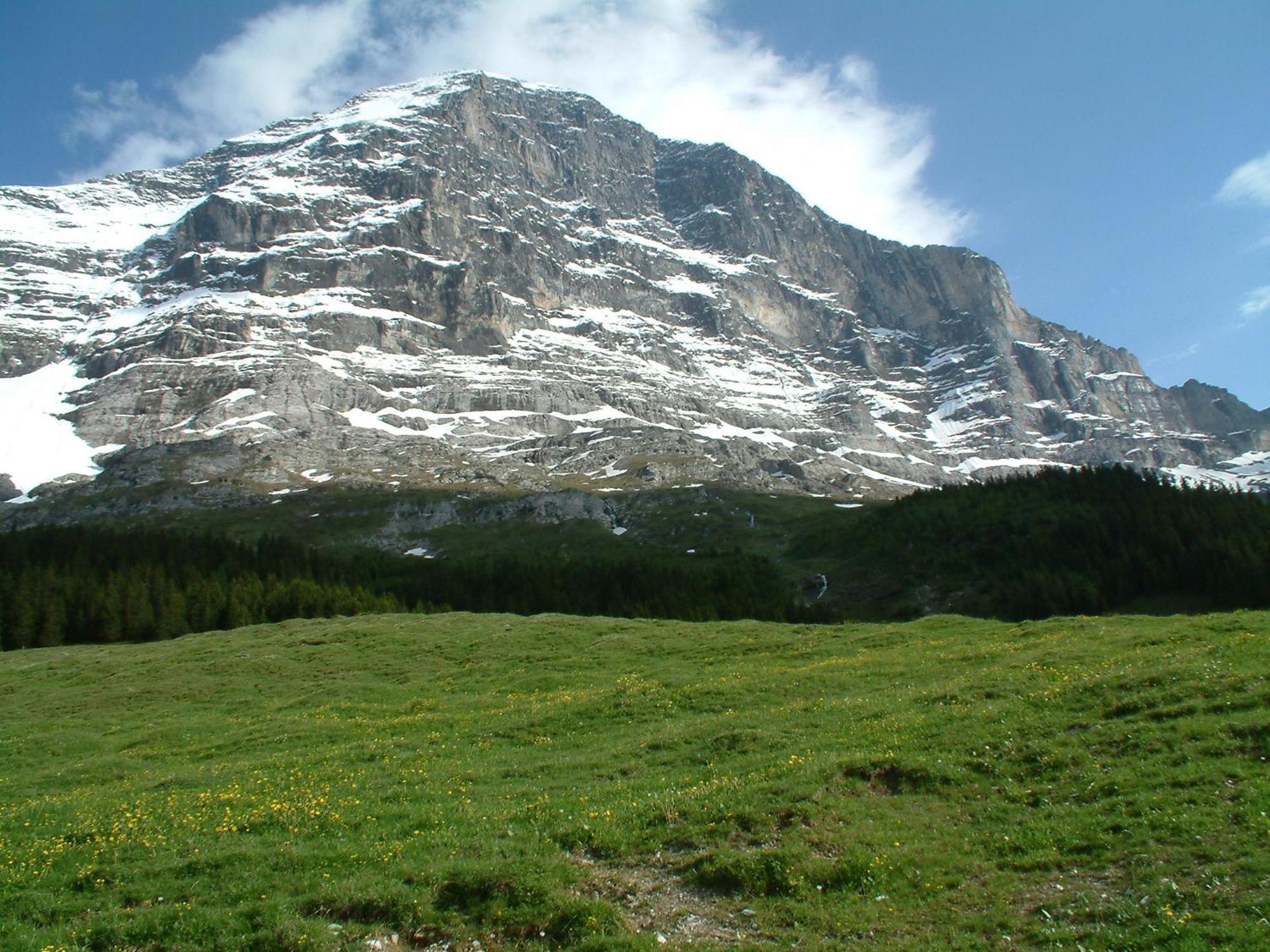 Chalet Schwendiboden Grindelwald Esterno foto