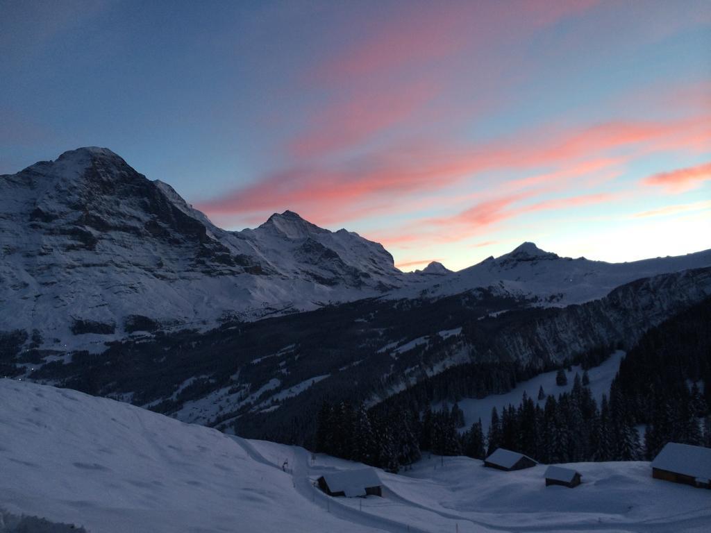 Chalet Schwendiboden Grindelwald Esterno foto