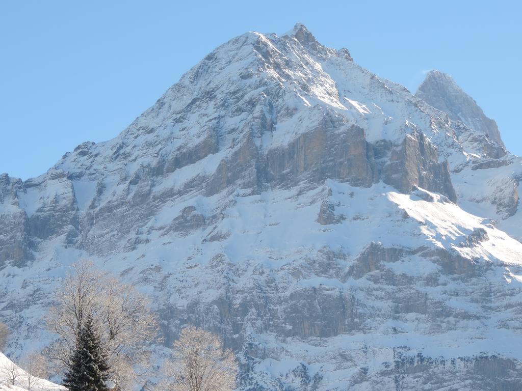 Chalet Schwendiboden Grindelwald Esterno foto
